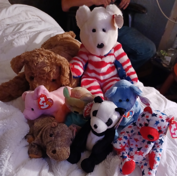 TY beanie babies Other - TY beanie babies